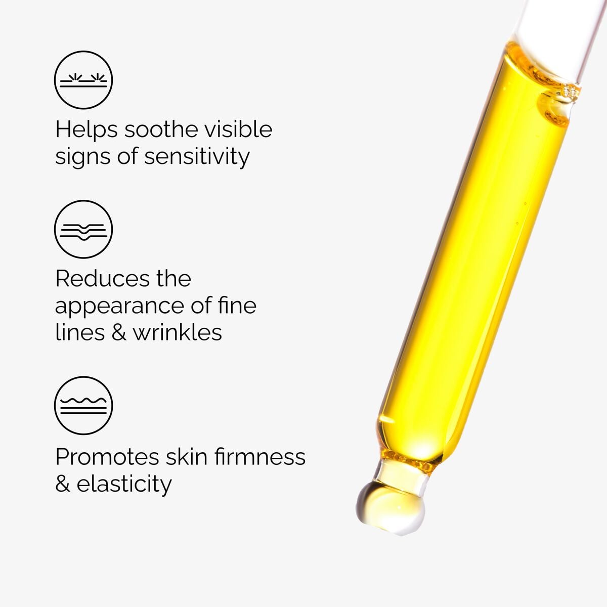 100% Fermented Rose Hip Seed Oil - Daily Glow