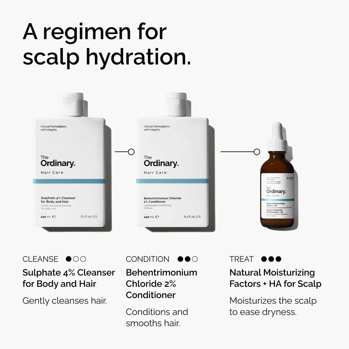 Natural Moisturizing Factors + HA for Scalp - Daily Care