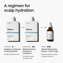 Natural Moisturizing Factors + HA for Scalp - Daily Care