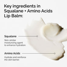 Squalane + Amino Acids Lip Balm - Clean Color