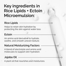 Rice Lipids + Ectoin Microemulsion - Simple Edit
