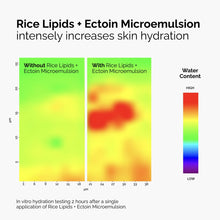 Rice Lipids + Ectoin Microemulsion - Simple Edit
